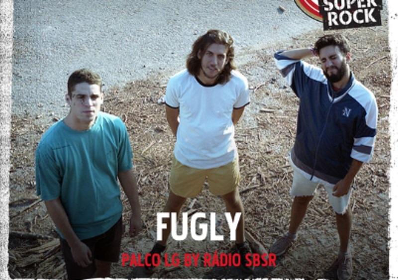 flug