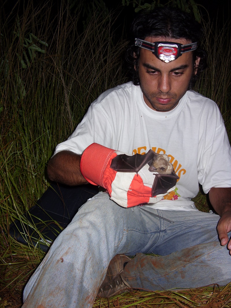 1O investigador Danny Rojas e um morcego noctilionoídeo 1